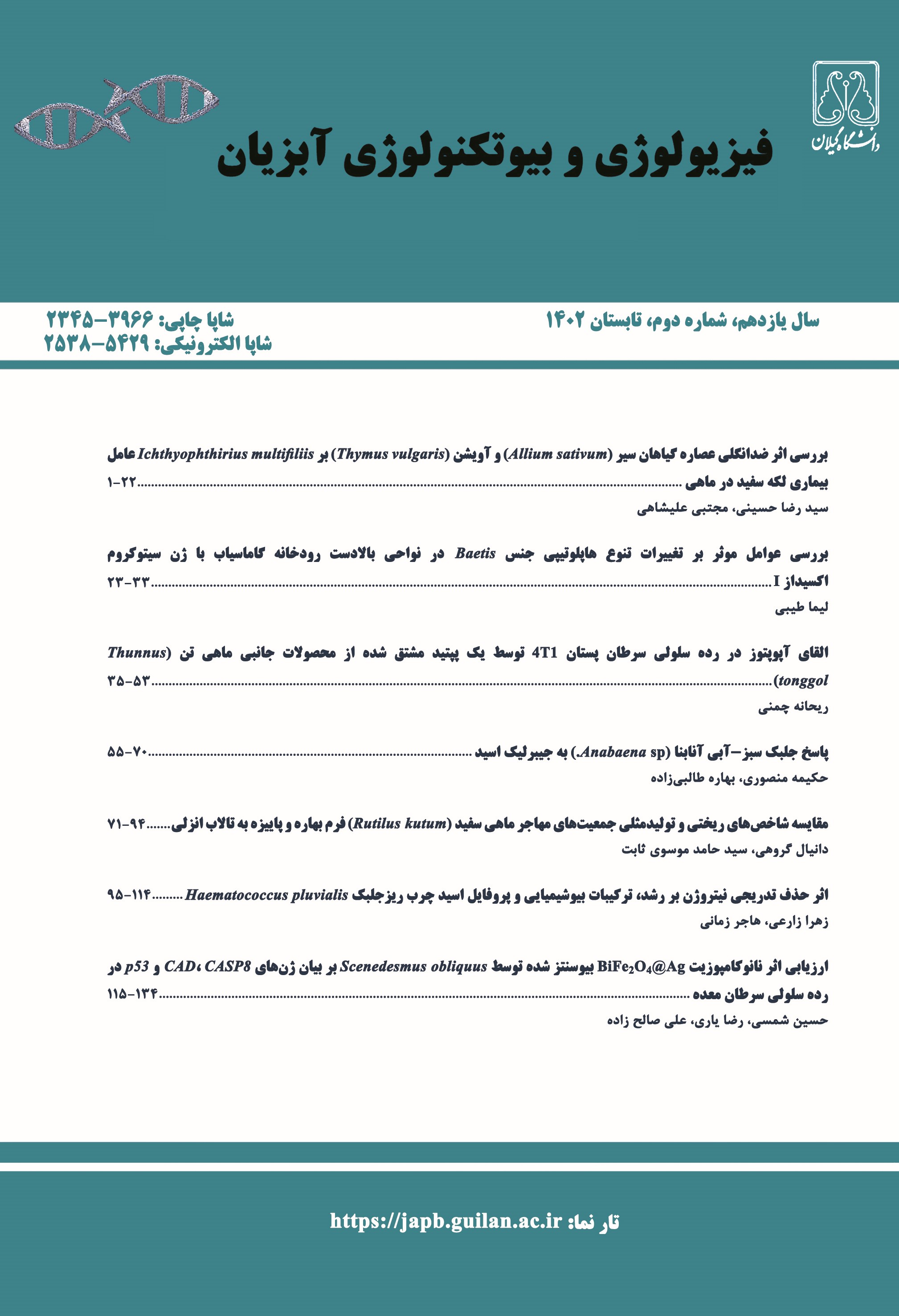 صورة مصغّرة