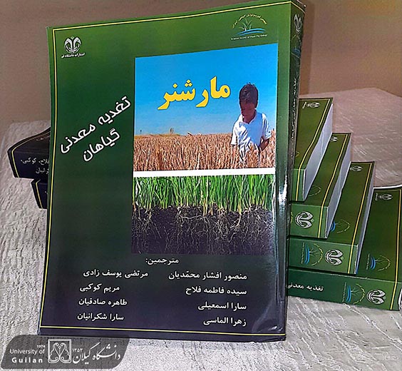 صورة مصغّرة